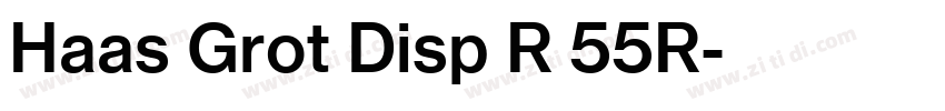 Haas Grot Disp R 55R字体转换 Haas Grot Disp R 55R字体转换